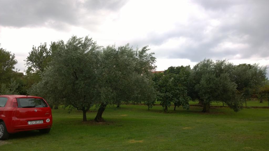 Apartments Free Parking Big Garden Peroj Chambre photo