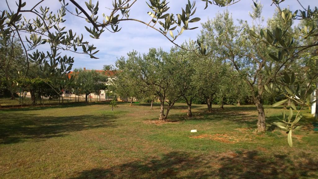 Apartments Free Parking Big Garden Peroj Extérieur photo